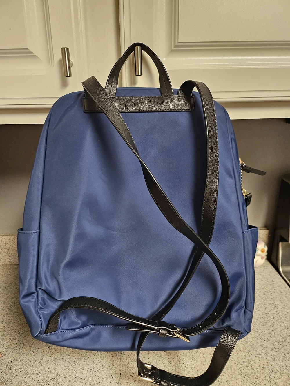 kate spade Navy Backpack - Everyday Men's Bag